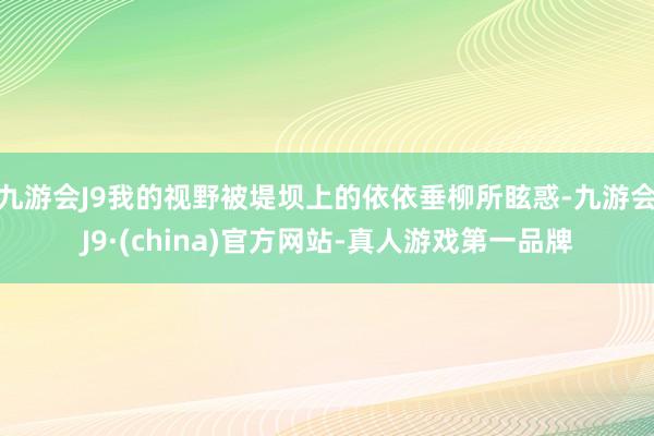 九游会J9我的视野被堤坝上的依依垂柳所眩惑-九游会J9·(china)官方网站-真人游戏第一品牌