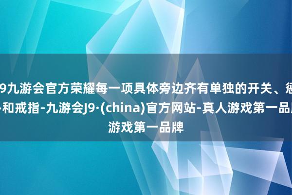 j9九游会官方荣耀每一项具体旁边齐有单独的开关、惩办和戒指-九游会J9·(china)官方网站-真人游戏第一品牌