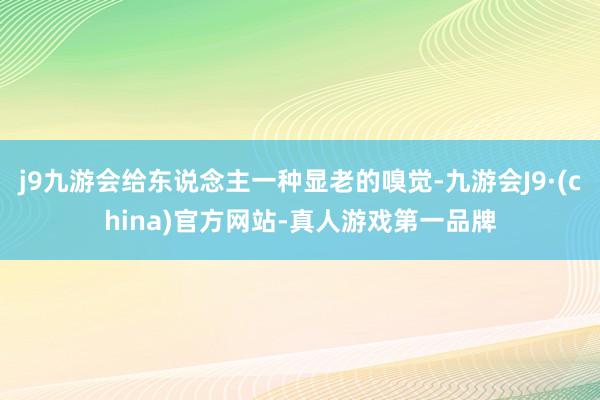 j9九游会给东说念主一种显老的嗅觉-九游会J9·(china)官方网站-真人游戏第一品牌