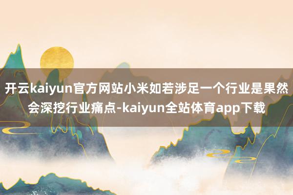 开云kaiyun官方网站小米如若涉足一个行业是果然会深挖行业痛点-kaiyun全站体育app下载