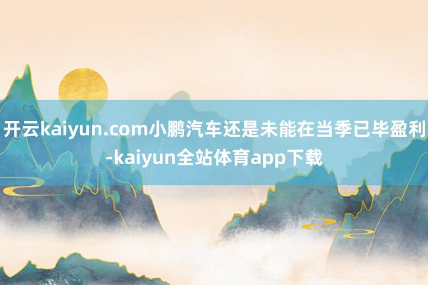 开云kaiyun.com小鹏汽车还是未能在当季已毕盈利-kaiyun全站体育app下载