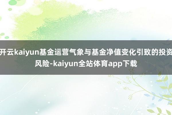 开云kaiyun基金运营气象与基金净值变化引致的投资风险-kaiyun全站体育app下载